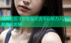 海角社区才府智慧交流平台助力人才聚集与发展