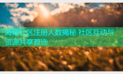海角社区注册人数揭秘 社区互动与资源共享首选