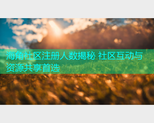 海角社区注册人数揭秘 社区互动与资源共享首选  第1张
